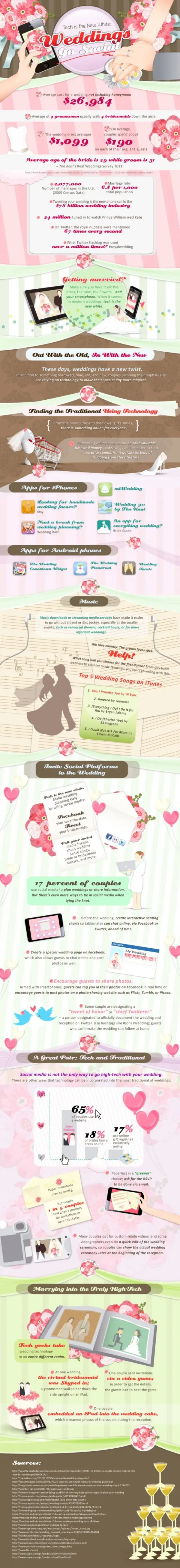 The Best Wedding Infographic Ever!