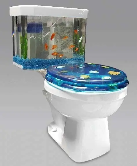 Toilet Fish Tank