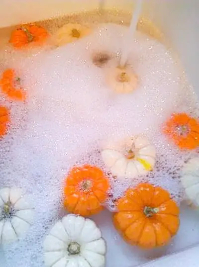 Pumpkin Bubble Bath