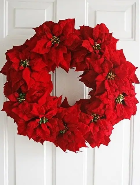 wreath,red,christmas decoration,flower,decor,