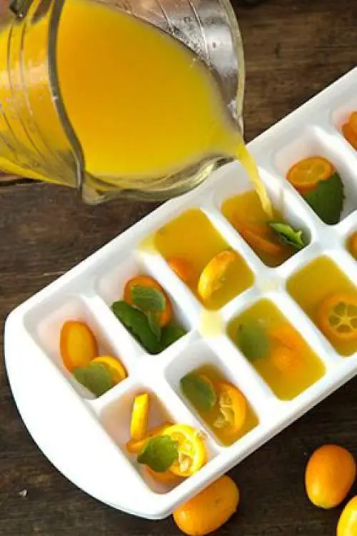 ManMade Guide: Step Up Your Summer Drinks with Grown-Up Flavored Ice Cubes  - ManMadeDIY