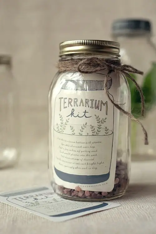 Terrarium in a Jar!