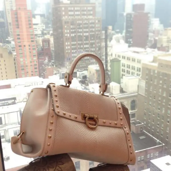 handbag, bag, brown, leather, liu,