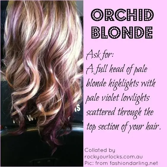 hair, pink, purple, human hair color, hair coloring,