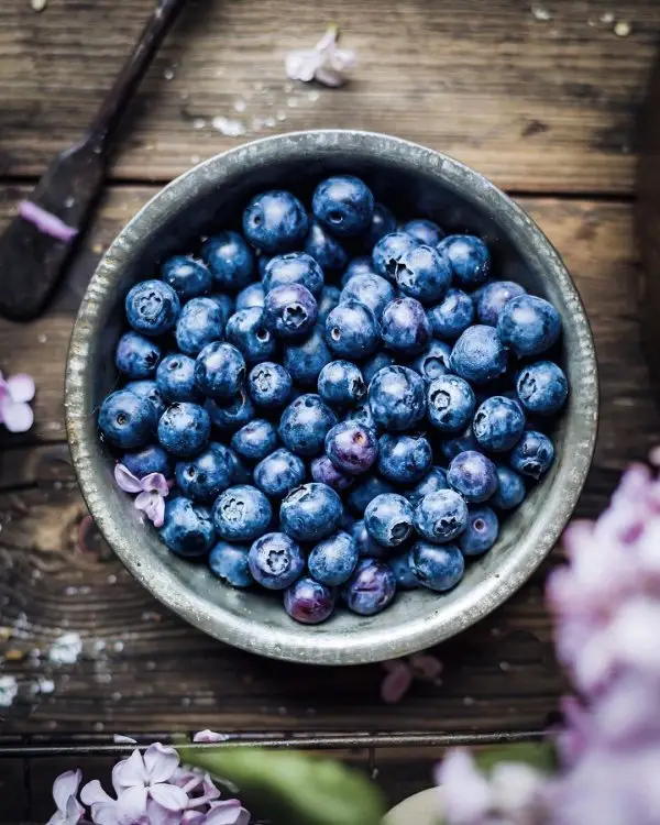 Bilberry, Superfood, Blue, Food, Berry,