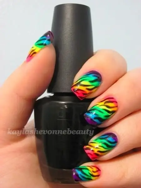 Rainbow Ombre with Zebra