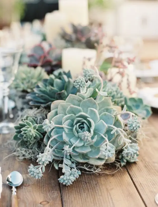 Table Full of Succulents