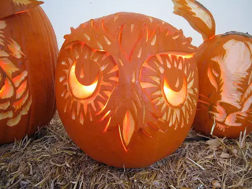 7 Cool Ideas for Pumpkin Decorating This Halloween ...