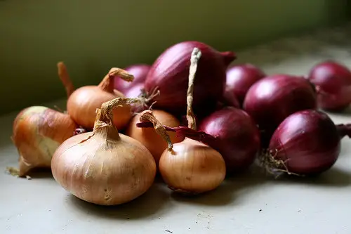Toss Some Onions into Meals