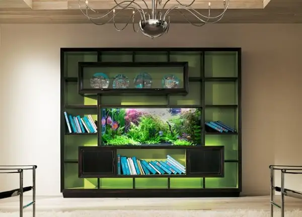 Shelf Unit Aquarium