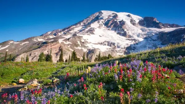Mount Rainier National Park, Nisqually Glacier, mountainous landforms, landform, mountain, massif,