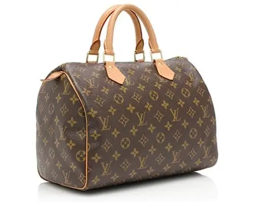 The Louis Vuitton Speedy Bag is Made Mostly of Canvas, Not Leather