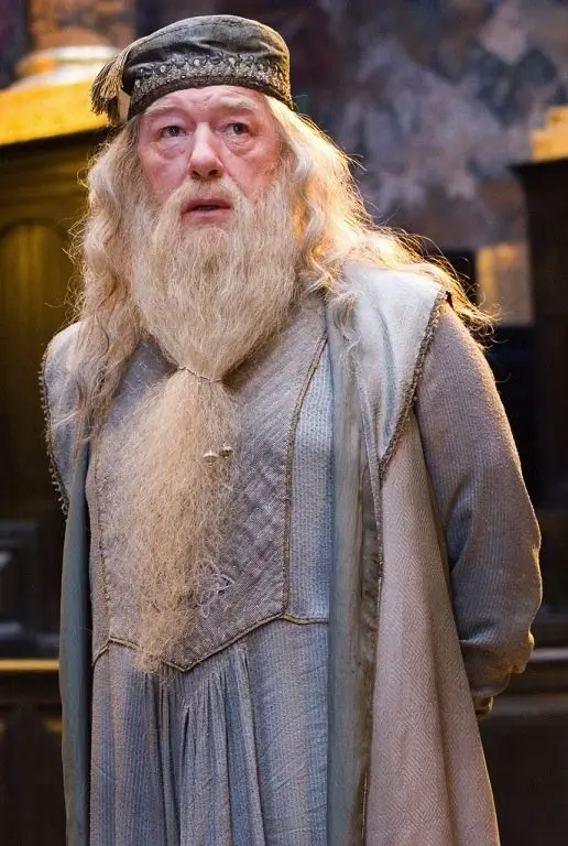 Dumbledore in Harry Potter and the Half-Blood Prince