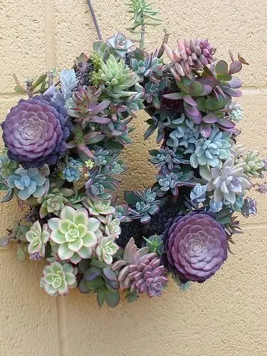 flower arranging,flower,plant,floristry,purple,