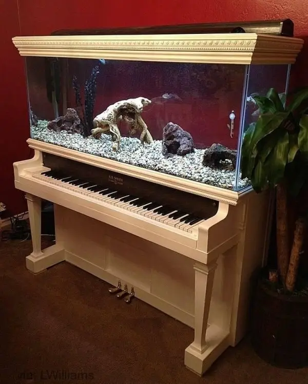 Piano Aquarium