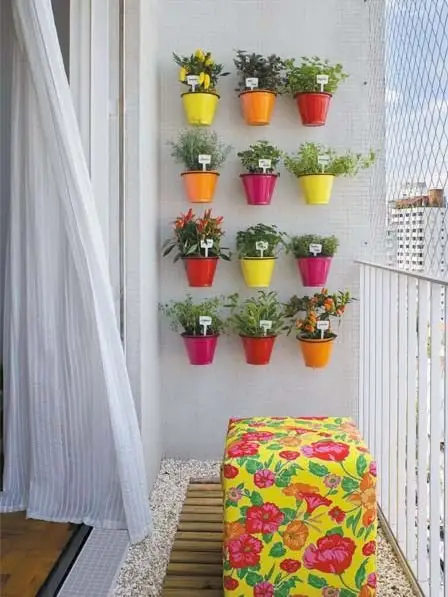 An Entire Outdoor Walled Filled with Blooms