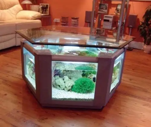 Aquarium Center Table