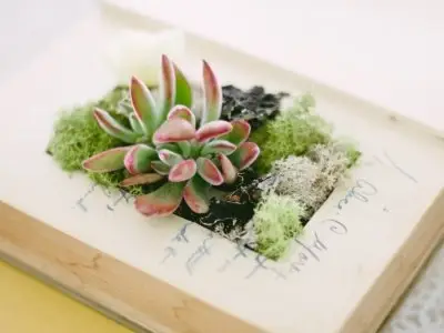 7 Amazing Projects to Make from Old Books ...