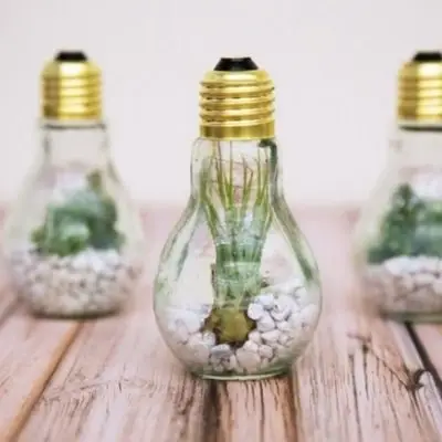 Awesome Enlightenment You Have to See These Things You Can Make with Light Bulbs ...