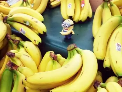 7 Facts about the Banana Industry That May Surprise You ...