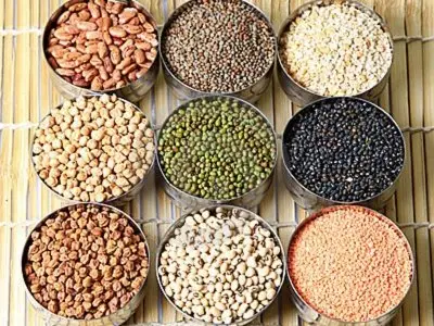 7 Plant Based Protein Sources to Add to Your Diet ...