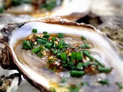 10 Outstanding Places to Eat Oysters in America ...