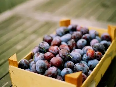 7 Superfoods You Can Get at the Farmers Market ...
