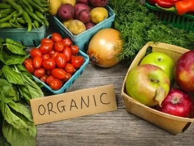 Organic food why reading answers