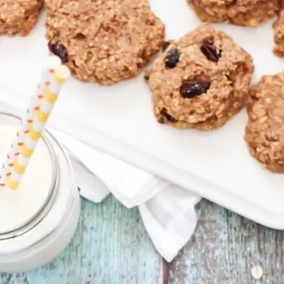 49 Unbelievably Tasty Breakfast Cookies for Gals on the Go ...