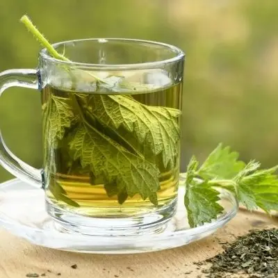 7 Mineral-Rich Herbal Teas to Drink ...