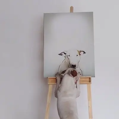 This Artist Draws His Doggie in a Whole New Way ...