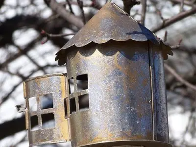 5 Tips on Making Your Own Bird Feeder ...