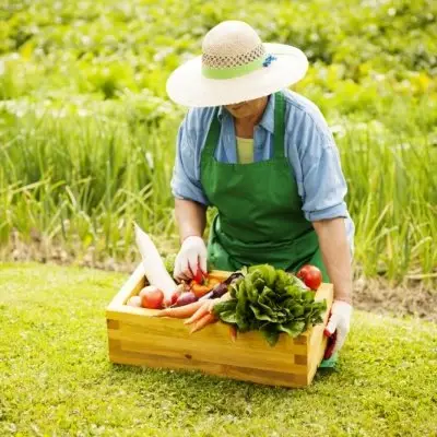 7 Gardening Safety Tips for Seniors ...