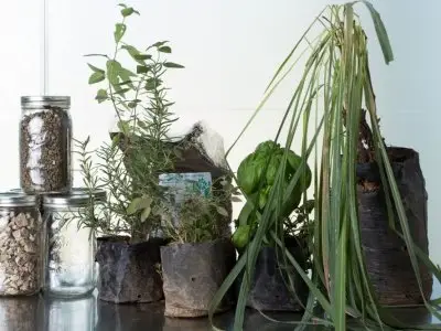 7 Creative Ways to Reuse Containers for Plants and Herbs ...