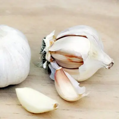 Heres Why You Must Start Eating Garlic ASAP ...