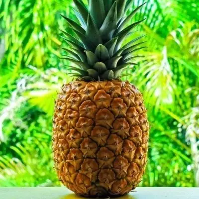 7 Amazing Benefits of Pineapples You Didnt Know about ...