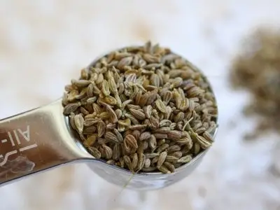 7 Health Benefits of Using Anise Seeds ...