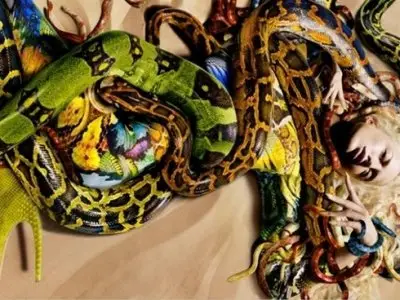 7 Venomous Snakes You Need to Avoid ...