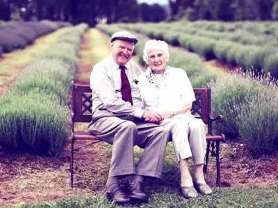 8 Amazing Reasons to Write down Your Grandparents Stories ...