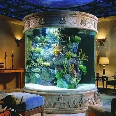 46 Inspiring Fish Tanks for the Aquatic Lover in You ...