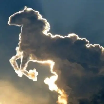 Amazing Nature Clouds That Look like Animals ...