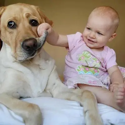 You Wont Believe How Cute These Babies and Pets Are Together