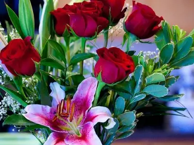 10 Gorgeous Flowers You Can Send ...