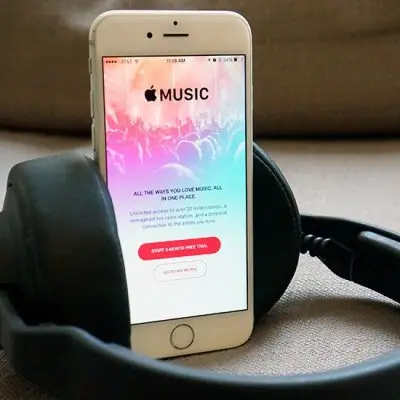 All You Need to Know about Apple Music ...