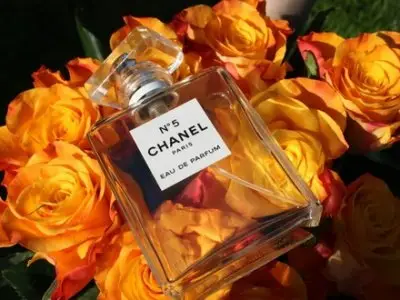 7 Chanel Perfumes to Definitely Try ...