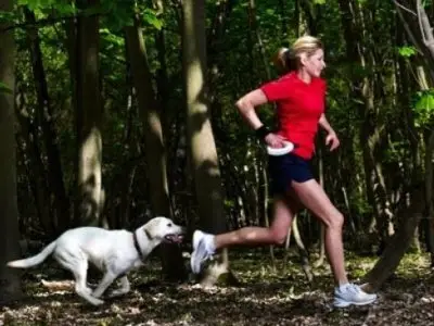 7 Amazing Reasons to Run with Your Dog ...