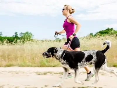 7 Tips for Running with Your Dog ...
