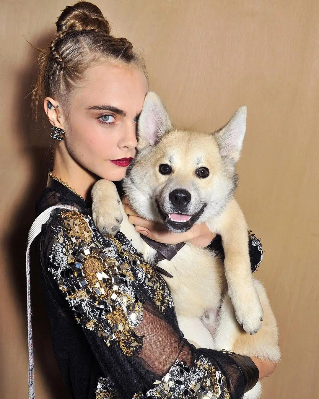 Cuteness Overload Check out These 23 Celebs and Their Pets on Instagram ...