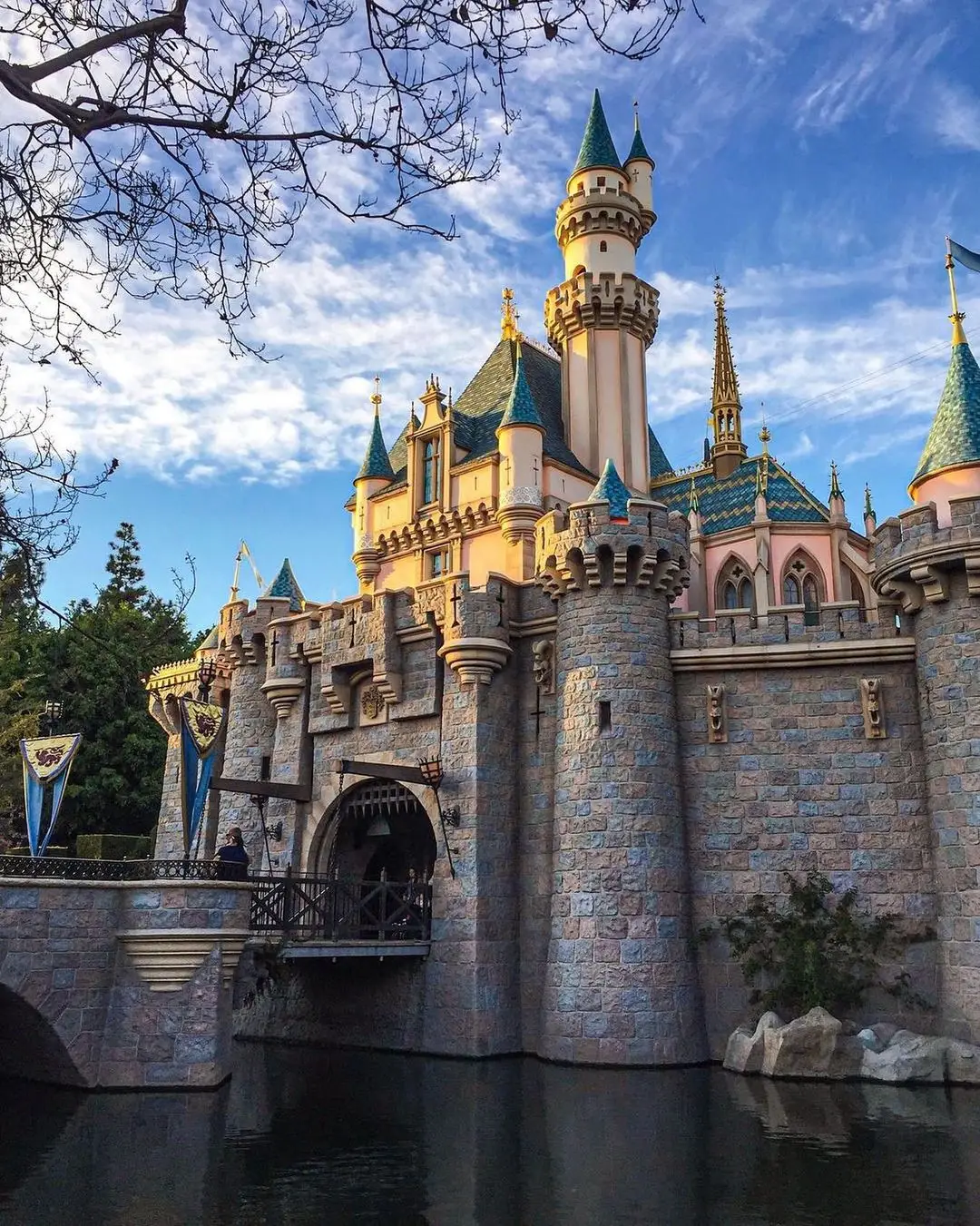 35 Great Tips and Secrets for a Fantastic Trip to Disneyland ...