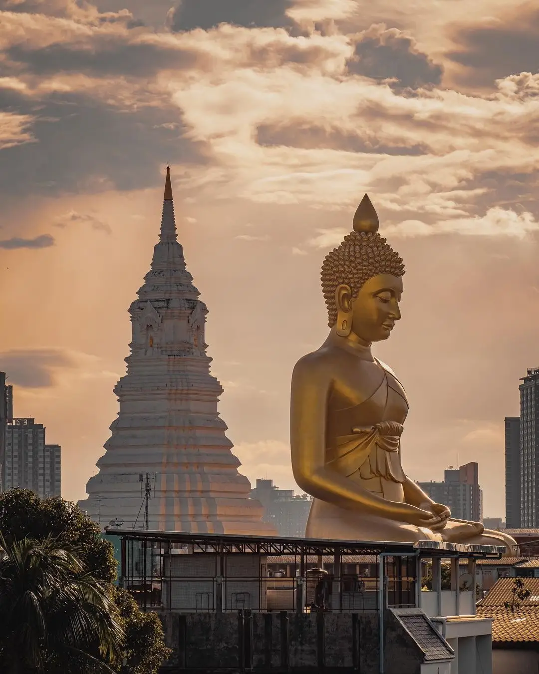 The Best Things to See in Bangkok ...